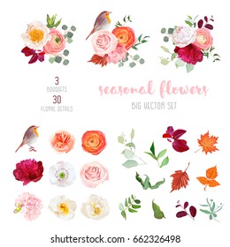 Peachy rose, white and burgundy red peony, orange ranunculus, carnation, hydrangea, autumn leaves, robin bird and mix of seasonal plants big vector collection. All elements are isolated and editable