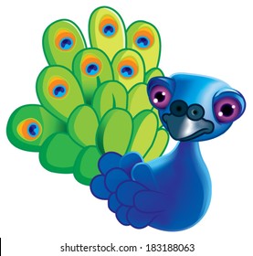 peackock bird