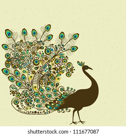 Peacock