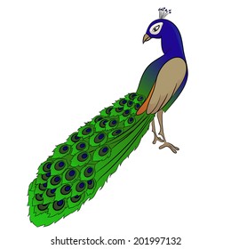 Peacock