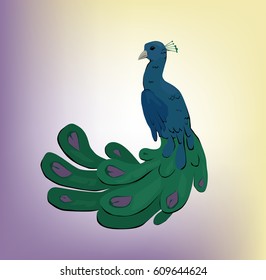Peacock