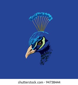 Peacock