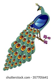 Peacock. Abstract bird on white background