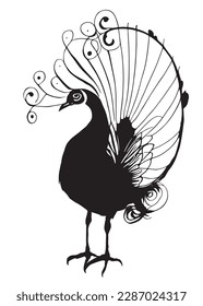 Peacock among abstract tails feathers. Also good for tattoo. Editable vector monochrome image with high details isolated on white background
