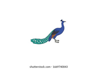 Peacock Animal Cartoon Vector Illustration