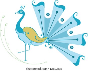Peacock artistic hand drawn
