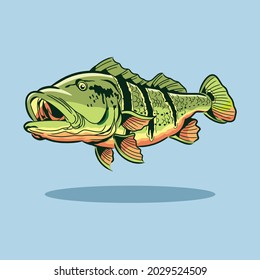 peacock bass fish lake vector illustration