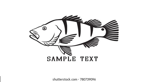 Peacock bass image