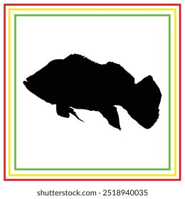 peacock bass ornamental fish vector silhouette design