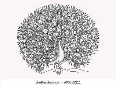 Peacock with a beautiful big tail on a white background. Vector illustration.