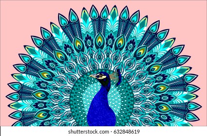 Featured image of post How To Draw A Peacock With Open Feathers - I hope i do win.