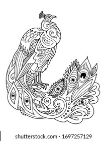 Peacock with beautiful feathers. Page of coloring book. Vector illustration.