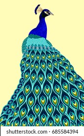Peacock with a beautiful, luxurious colored tail