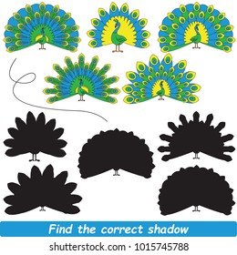Peacock Beautiful Shadow Set to Find the Correct Shadow, the Matching Educational Kid Game to Compare and Connect Objects and Their True Shadows, Simple Gaming Level for Preschool Kids.