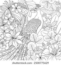 Peacock bird amongst plants and flowers, colouring book page design. Vector outline.