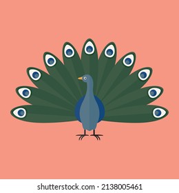 peacock bird animal vector on pink background flat design wildlife beast