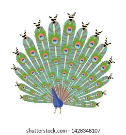 peacock. a bird with a beautiful tail. vector image of peacock