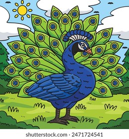 Peacock Bird Colored Cartoon Illustration