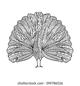 Peacock bird coloring book for adults vector illustration. Anti-stress coloring for adult. Zentangle style. Black and white lines. Lace pattern