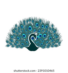 Peacock bird design vector illustration,peacock feather logo
