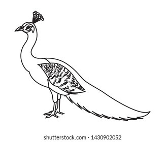 peacock bird icon cartoon isolated in black and white vector illustration graphic design