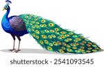 Peacock Bird Illustration, Cartoon Peacock, bird, colourful feathers, Peacock Vector