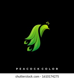 Peacock Bird Illustration Vector Template. Suitable for Creative Industry, Multimedia, entertainment, Educations, Shop, and any related business