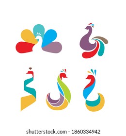 Peacock bird logo icon symbol design