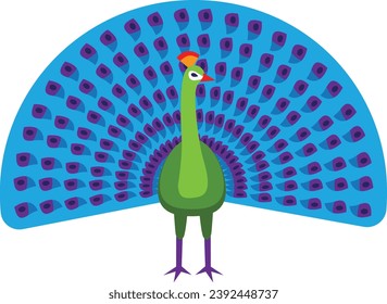 peacock bird, open tail feather out vector