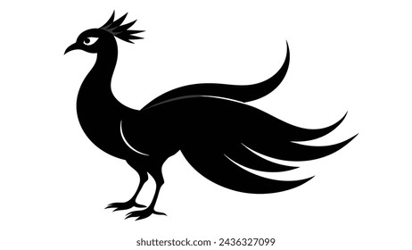 peacock bird vector illustration artwork 