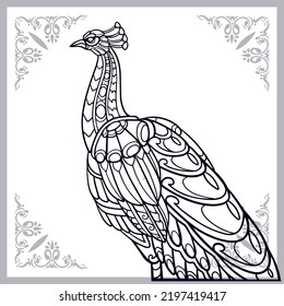 Peacock bird zentangle arts isolated on white background