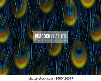 Peacock blue feathers background. Abstract composition. Vector illustration.