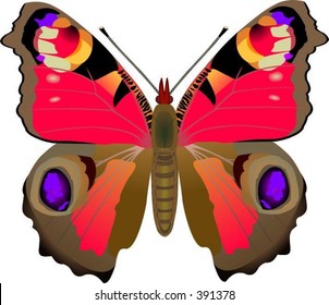 peacock butterfly