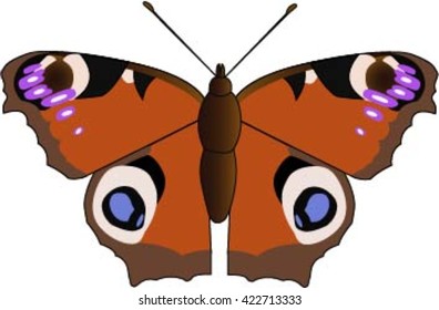 Peacock butterfly