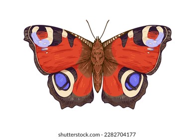 Pfauenschmetterling, Mottenart mit bunten Flecken auf Flügeln. Aglais io insect im detaillierten Vintage-Stil. Realistische Retro-Zeichnung. handgezeichnete Vektorgrafik einzeln auf weißem Hintergrund