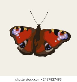 Peacock butterfly with spread wings, antennae. Single isolated colorful illustration. Image tracing, cleaned and simplified image. Realistic style. Not AI.