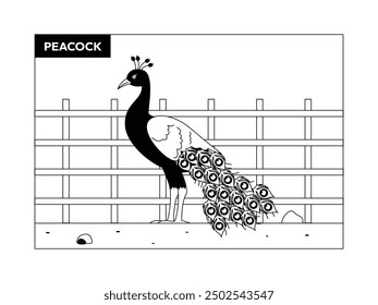 Peacock in cage calmly, black and white, outline, vector illustration of birds.