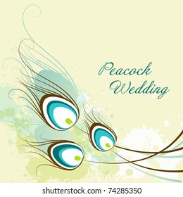 Peacock Card