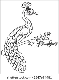 Pájaro de dibujos animados de pavo real para colorear Libro o página para colorear en blanco y negro para niños.