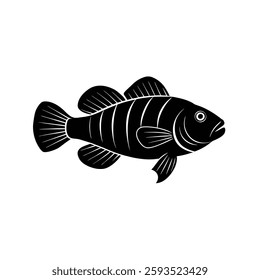 Peacock Cichlid Silhouette Vector and Black Peacock Cichlid Fish Illustration Design