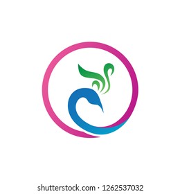 Peacock in Circle Shape Logo Design