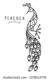 Peacock collection, ethnic style, sketch for your design. Vector illustration