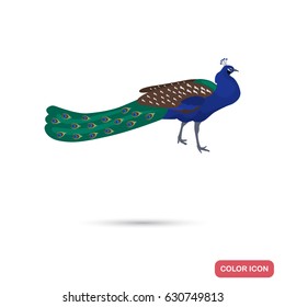 Peacock color flat icon for web and mobile design