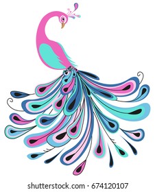 Peacock with colorful feathers