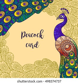 Peacock colorful greeting card design vector illustration