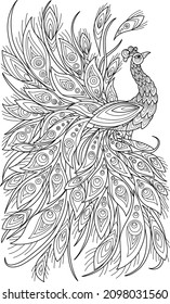 Peacock coloring book for adults  illustration. Anti-stress coloring for adult. Zentangle style. Black and white lines. Lace pattern