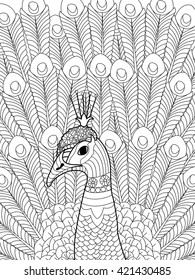 Peacock coloring book for adults vector illustration. Anti-stress coloring for adult. Zentangle style. Black and white lines. Lace pattern