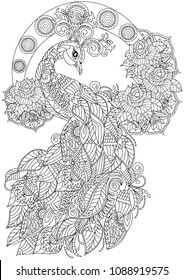 peacock coloring book page for adults