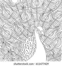 Peacock coloring book vector illustration. Black and white lines. Lace pattern