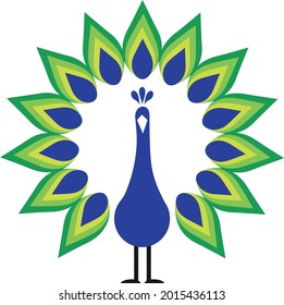 Peacock colourful Vector Design logo